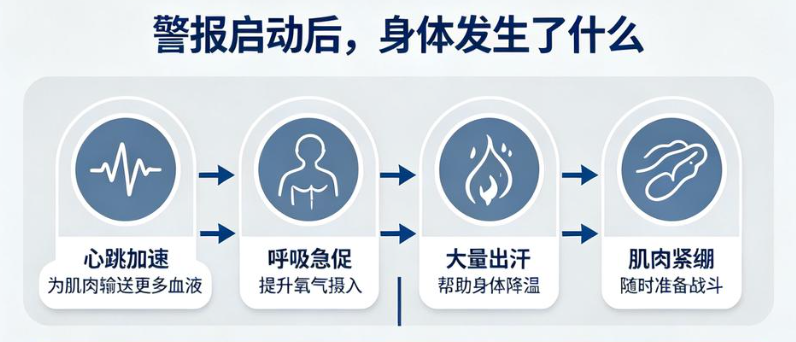 惊恐发作大脑会做什么